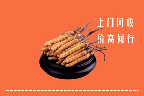 高价求购：剑阁县回收散虫草