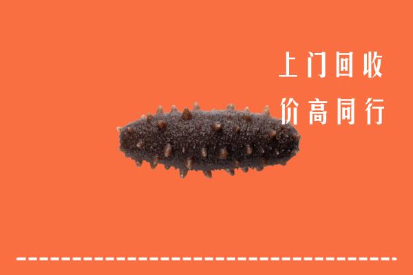 剑阁县回收海参